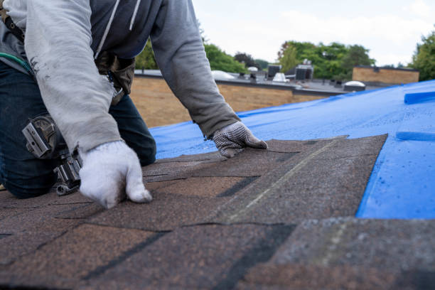 Roof Gutter Cleaning in Apalachin, NY