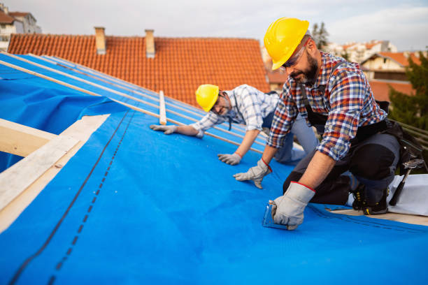 Best Residential Roofing Contractor  in Apalachin, NY